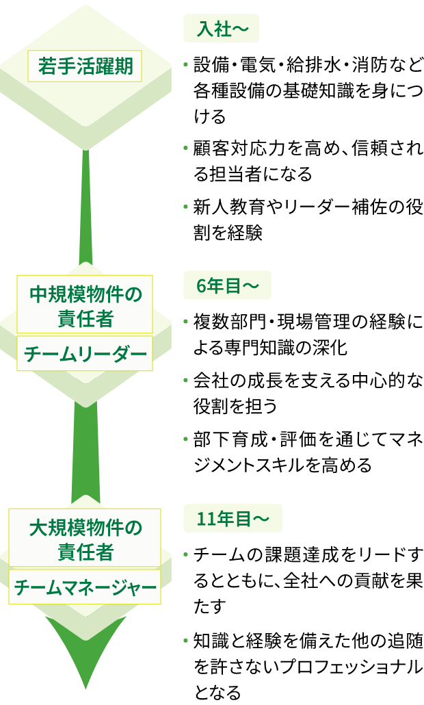 キャリアパスのイメージです。入社〜6年目までは若手活躍機で、建築の知識の土台を身につける、顧客対応力を高め、信頼される担当者になる、新人教育やリーダーの補佐の役割を経験。6年目~11年目はチームリーダとして、複数部門の経験による専門知識の進化、会社の成長を支える中心的な役割を担う、部下育成・評価を通じてマネジメントスキルを高める。11年目からはチームマネージャー・スペシャリストとして、チームの課題達成をリードするとともに、全社への貢献を果たす、知識と経験を備えた建築のプロフェッショナルとなる。
