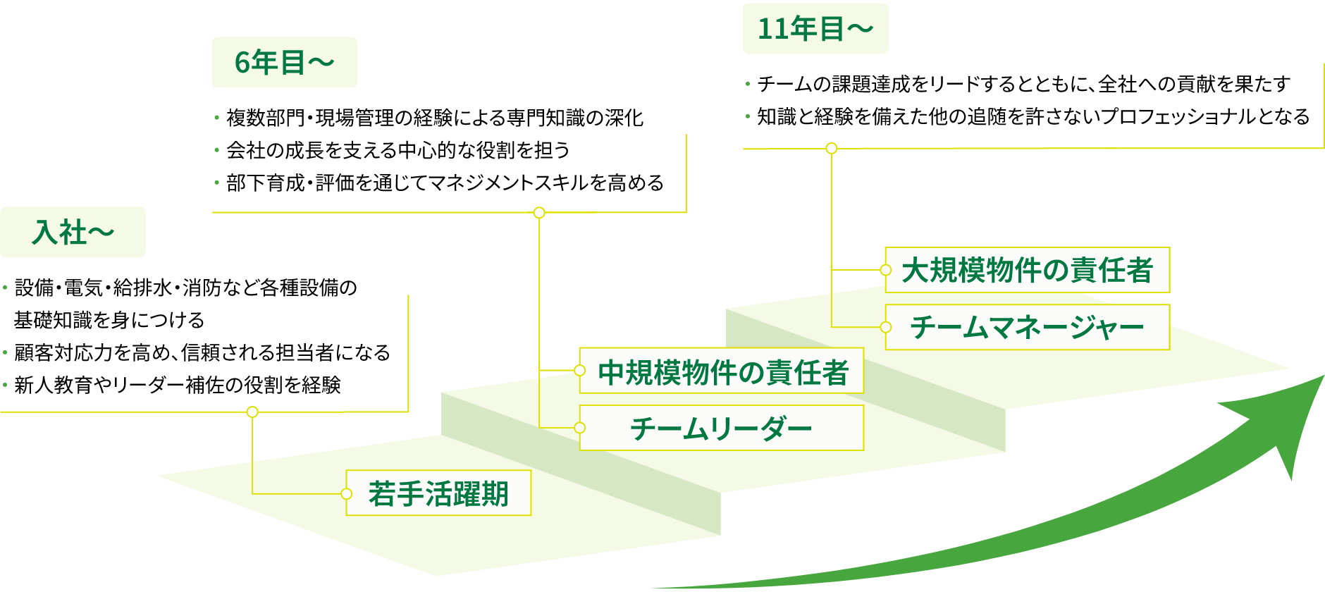 キャリアパスのイメージです。入社〜6年目までは若手活躍機で、建築・設備・電気の知識の土台を身につける、顧客対応力を高め、信頼される担当者になる、新人教育やリーダーの補佐の役割を経験。6年目~11年目はチームリーダとして、複数部門の経験による専門知識の進化、会社の成長を支える中心的な役割を担う、部下育成・評価を通じてマネジメントスキルを高める。11年目からはチームマネージャー・スペシャリストとして、チームの課題達成をリードするとともに、全社への貢献を果たす、知識と経験を備えた他の追随を許さないプロフェッショナルとなる。
